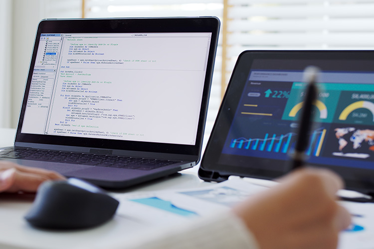 erp-development