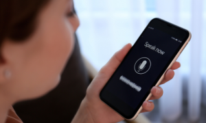 Voice Search Optimization